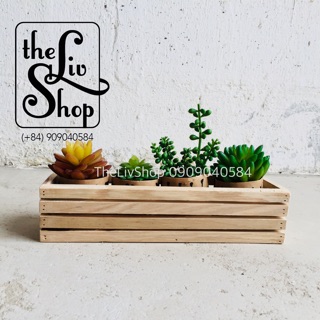Chậu gỗ trồng cây (30cm)