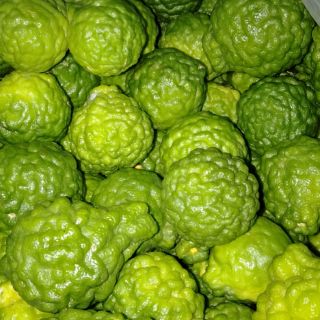 Trái chúc (chanh thái) hàng mới hái 1kg