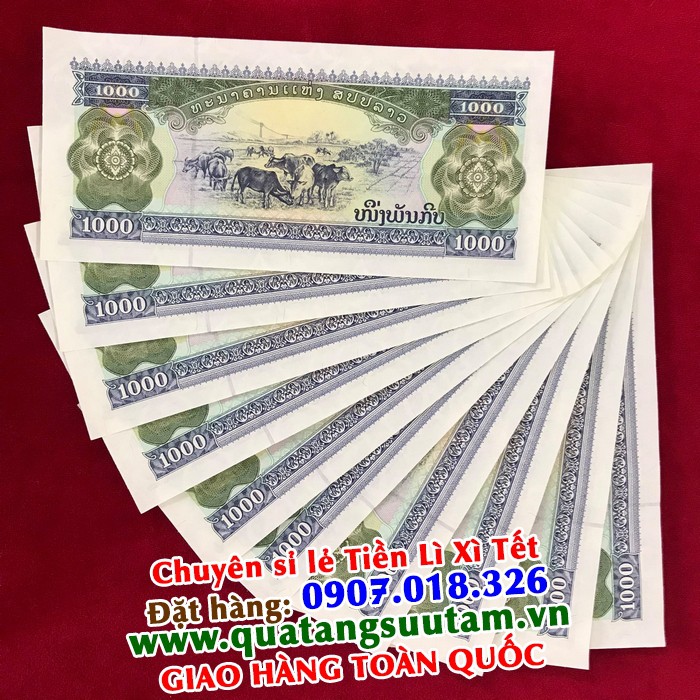 Tiền lì xì tết sang chảnh - Tờ tiền Lào 1000 Kip hình con trâu , combo 5 bộ gồm tiền + bao lì xì