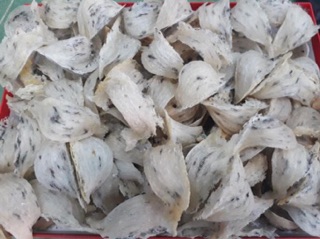 [FREESHIP 99K TOÀN QUỐC] 10gram Yến thô