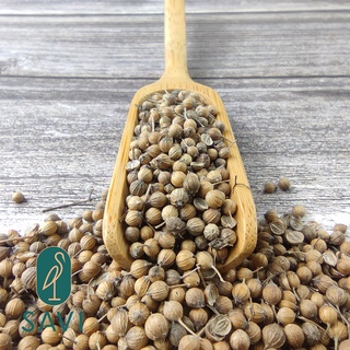 Hạt Ngò / Hạt Mùi Cao Cấp - High Quality Coriander Seeds