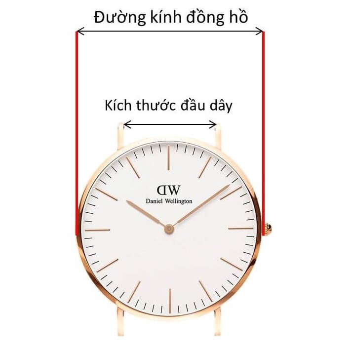 Bộ 20 chốt cho dây đồng hồ đeo tay Size 12mm