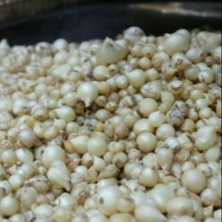 Hành tăm nghệ an 1 kg