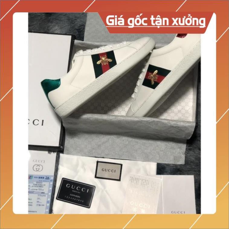 [FreeShip+ Hàng Cao Cấp] Giày thể thao Gucci nam nữ cao cấp, Giày nam nữ Full phụ kiện (ảnh thật)