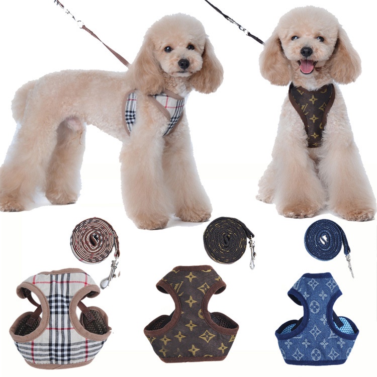 Set đai đeo ngực và dây dắt chó mèo cưng nhỏ và lớn/chó Poodle/chó Bull/chó con