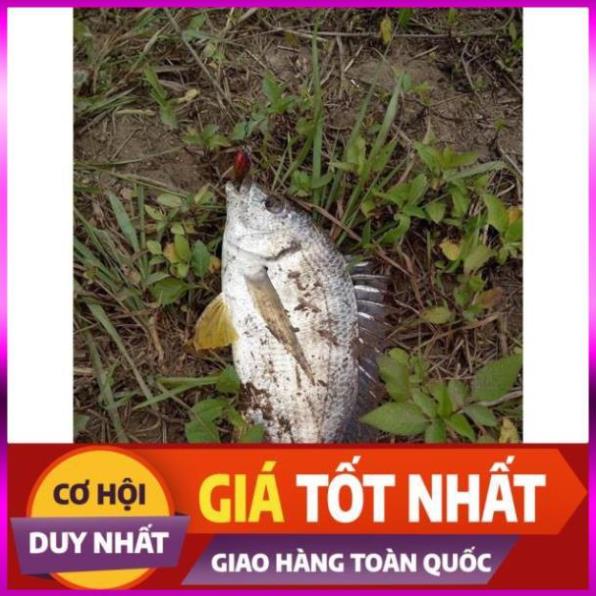 [Xả Kho 3 Ngày]  Mồi ruồi câu cá chuyên các loại cá rô phi, rô ta, chuối, lóc, sộp, thiểu - ĐỒ CÂU PHÍA BẮC - S1