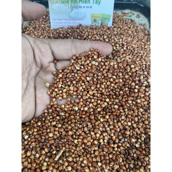 1kg Hạt BoBo Đỏ Dành cho chim , vẹt, gà , Hamster …