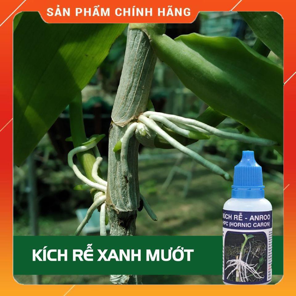 THUỐC kích siêu ra rễ ANROO 20ml