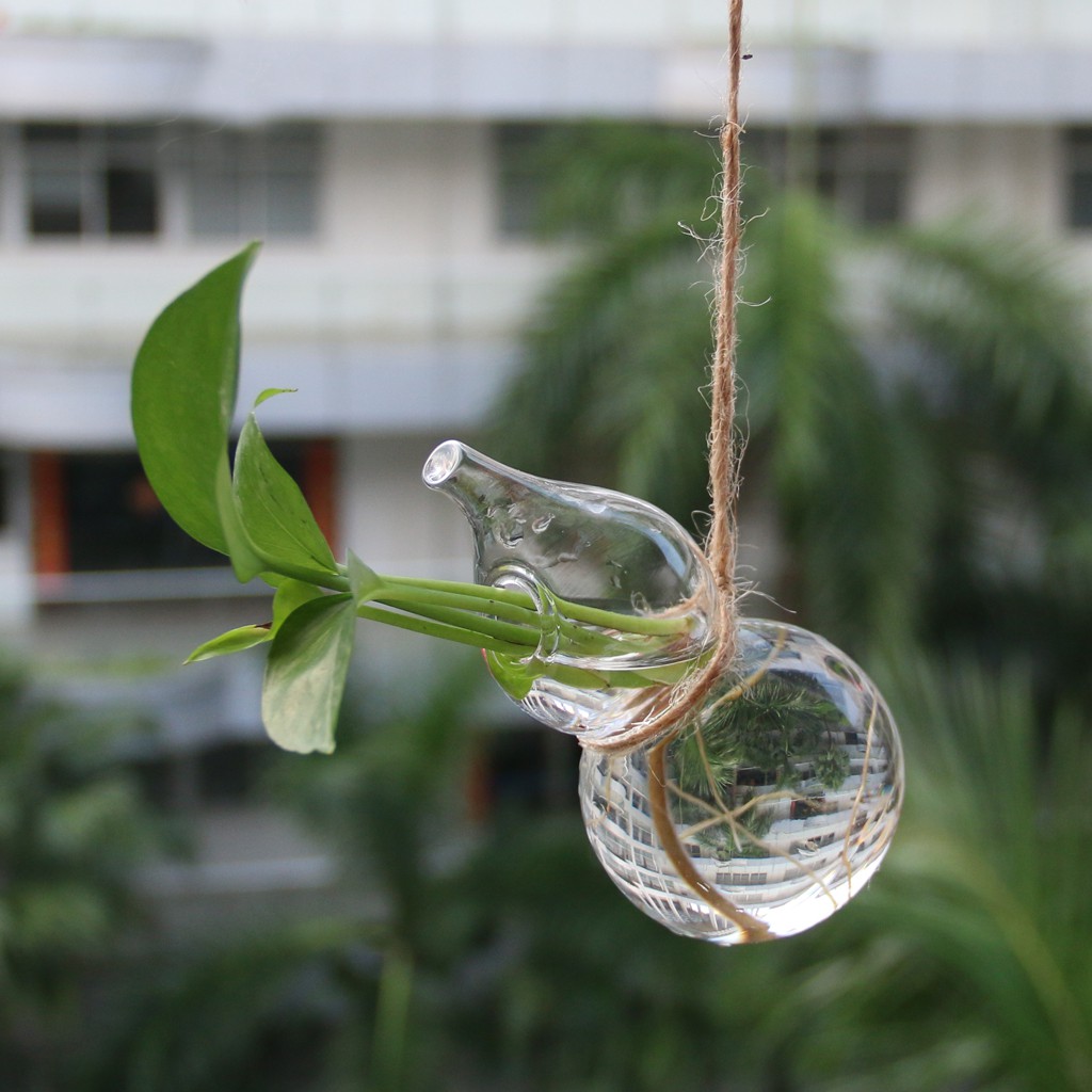 Chậu Kính Trồng Cây Thủy Canh / Nến Có Móc Treo Tiện Dụng