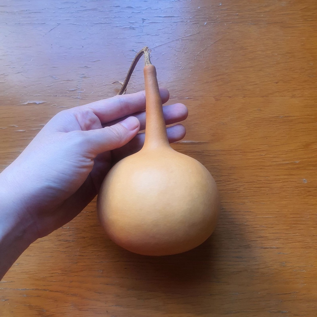 Trái bầu hồ lô phong thuỷ 19 - Em và nắng