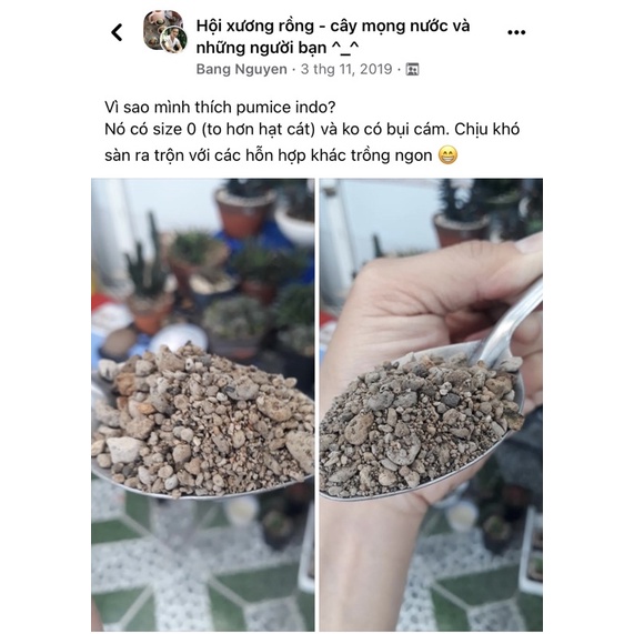 1kg Đá bọt Pumice Indo, Đá lông vũ 1-3mm Đã Sàng Sơ chuyên dùng trồng sen đá, xương rồng, lithops - Vườn Nhỏ Nhỏ