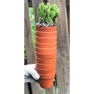 Bộ 10 chậu đất nung trồng xương rồng sen đá Rộng 9,5 cm x Cao 8 cm