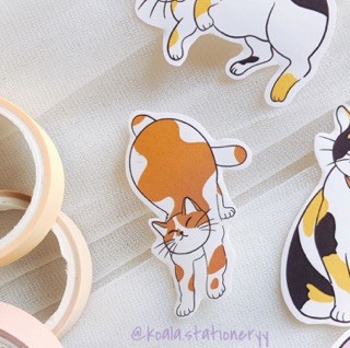 Bullet journal sticker - set sticker mèo