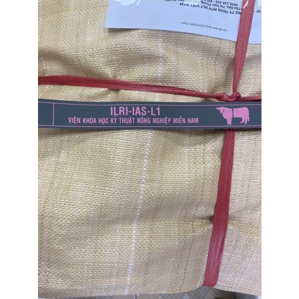 Thước đo thể trọng trâu bò chính xác cao
