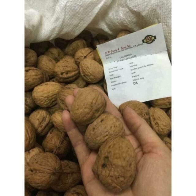 500g NHÂN ÓC CHÓ ĐỎ MỸ