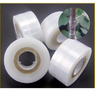 Cuộn Nilon Ghép Cây Chuyên Dụng Siêu Dai và không Tự Hoại 3CM - 4Cm - 5Cm