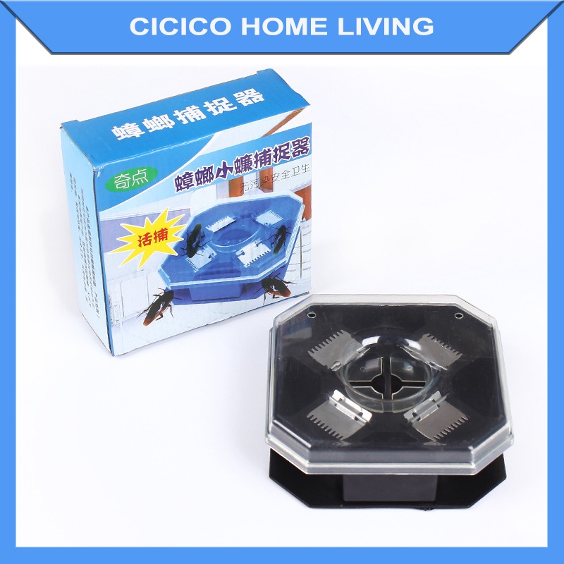 Hộp bẫy gián Cicico hộp bẫy côn trùng chống gián nhà cửa tiện lợi