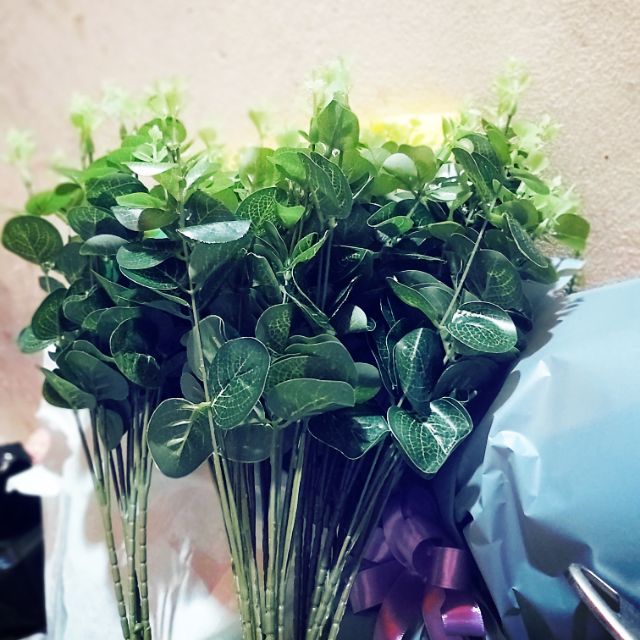 Cành táo 16 nhánh