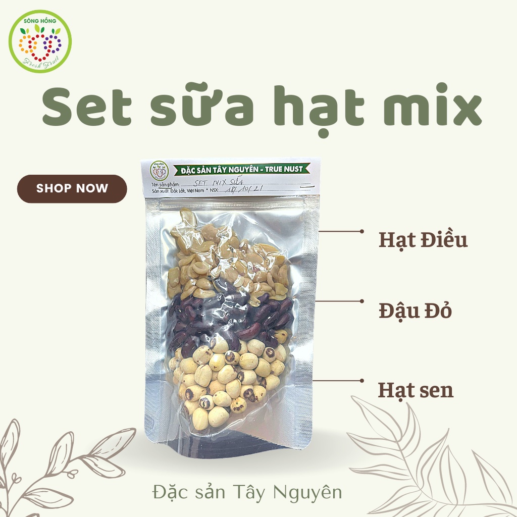 Set hạt mix nấu sữa dinh dưỡng 150g có tách lẻ Đặc sản Tây Nguyên - True nuts cực kì tiện lợi