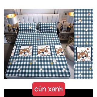 Chiếu điều hòa cao su non Decor 4.0