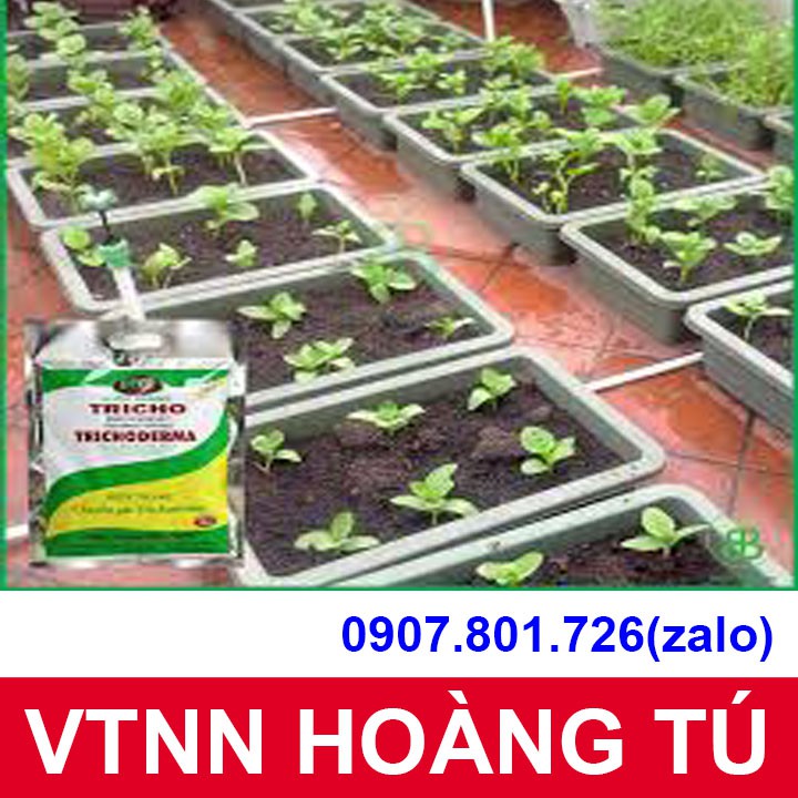 Nấm đối kháng Trichoderma VTTNN HOÀNG TÚ tốt rễ sạch nấm, phòng ngừa sâu bệnh gói 100 g