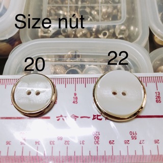 Nút Poly 2 lỗ 4 size nút kiểu