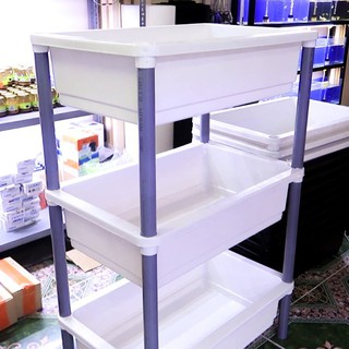 Khay nuôi cá 65x42x16cm ( KHAY LẺ KHÔNG KÈM CHÂN )