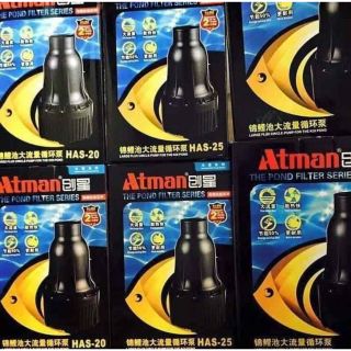 Bơm tạt cho hồ cá koi atman has
