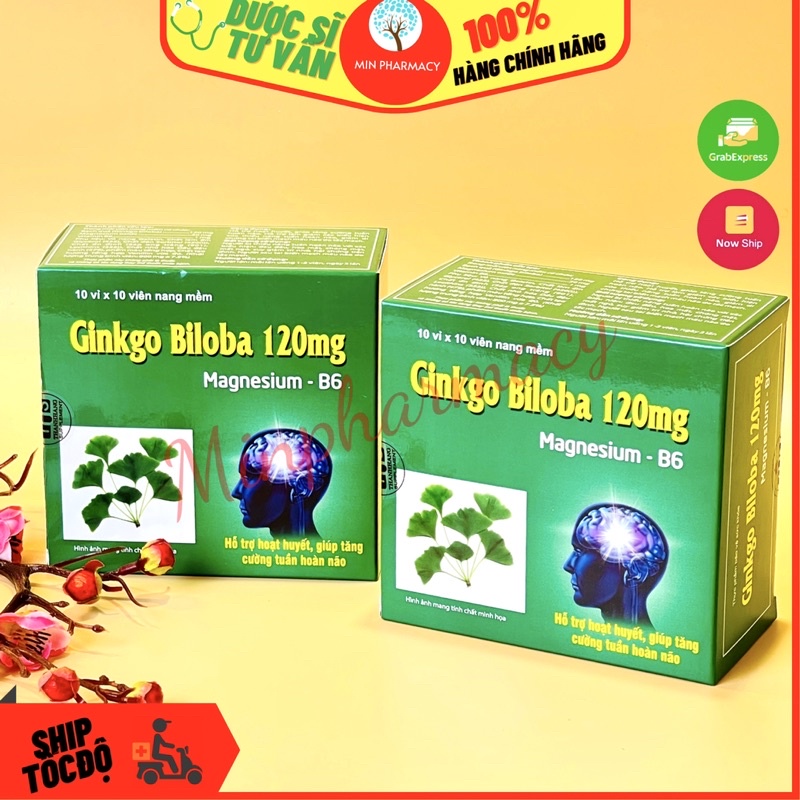 Viên nang Ginkgo Biloba 120mg & Magnesium-B6 Hỗ trợ hoạt huyết, tăng cường tuần hoàn não Hộp 100 viên - Minpharmacy