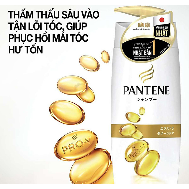 Dầu Gội Pantene Nhật Bản Chăm Sóc Hư Tổn Chuyên Sâu (450ml)