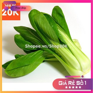 Hạt giống Cải Thìa