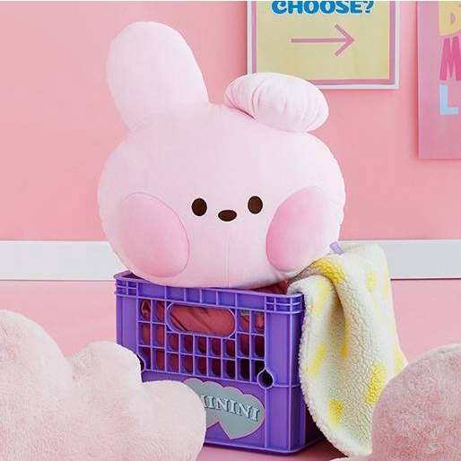 Thú Nhồi Bông Hình Nhân Vật BT21 minini Xinh Xắn
