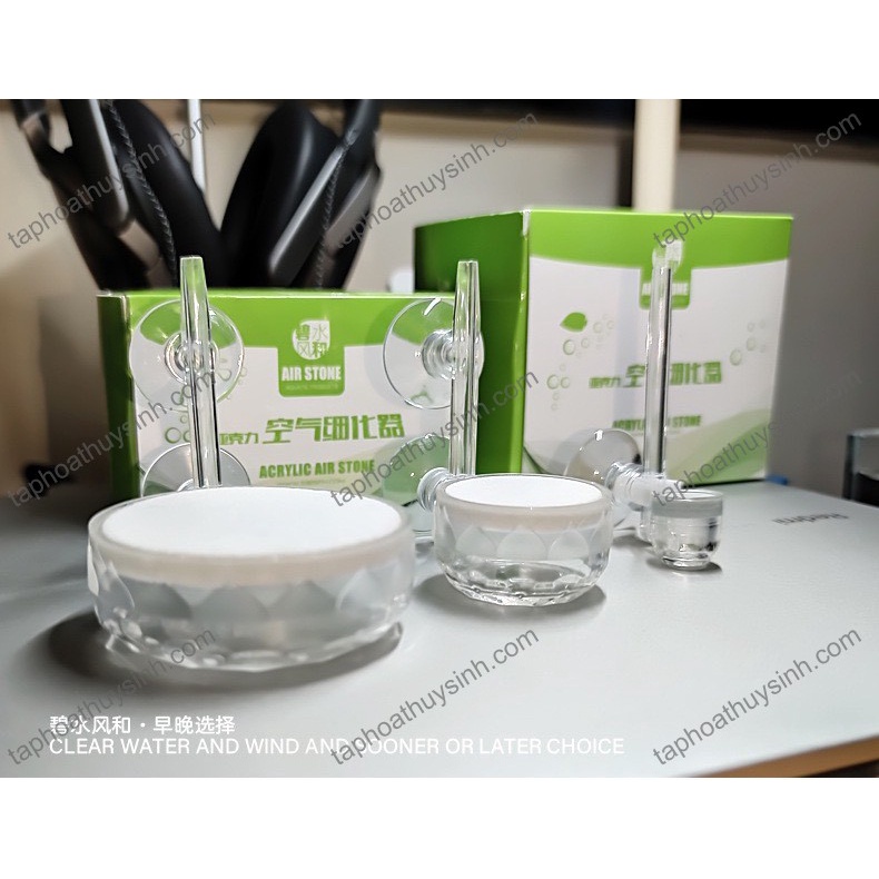 ĐẦU SỦI OXY MIN SIÊU ĐẸP