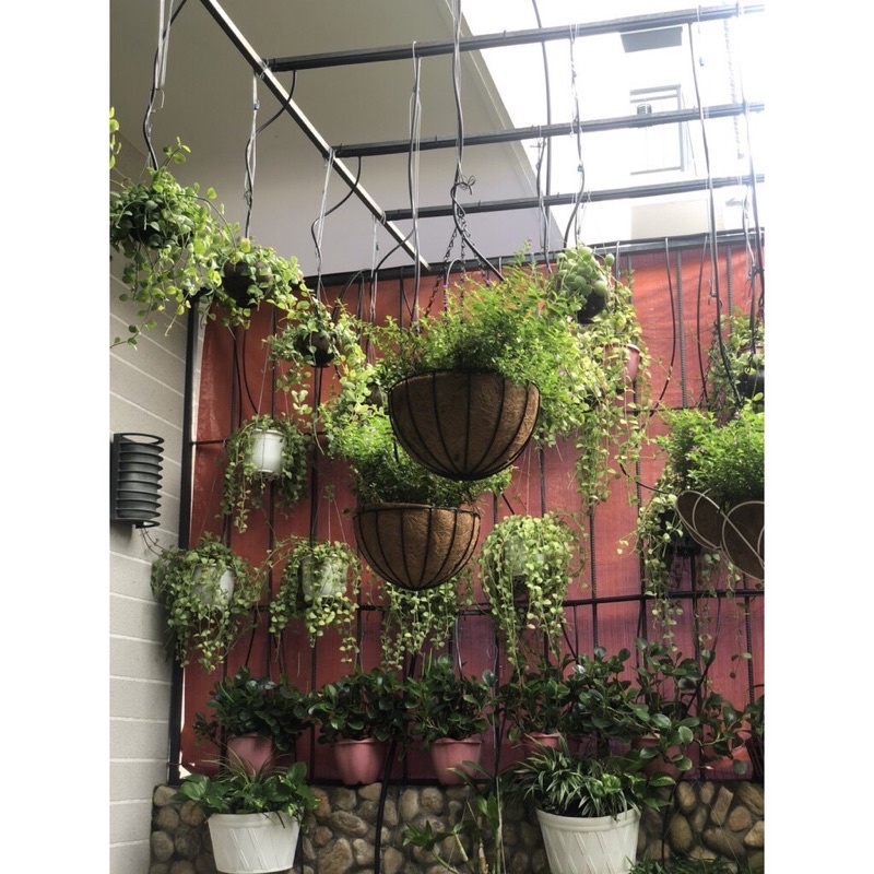 Chậu hoa treo xơ dừa hình tròn đk 25cm khung và dây xích treo bằng sắt hàng cao cấp