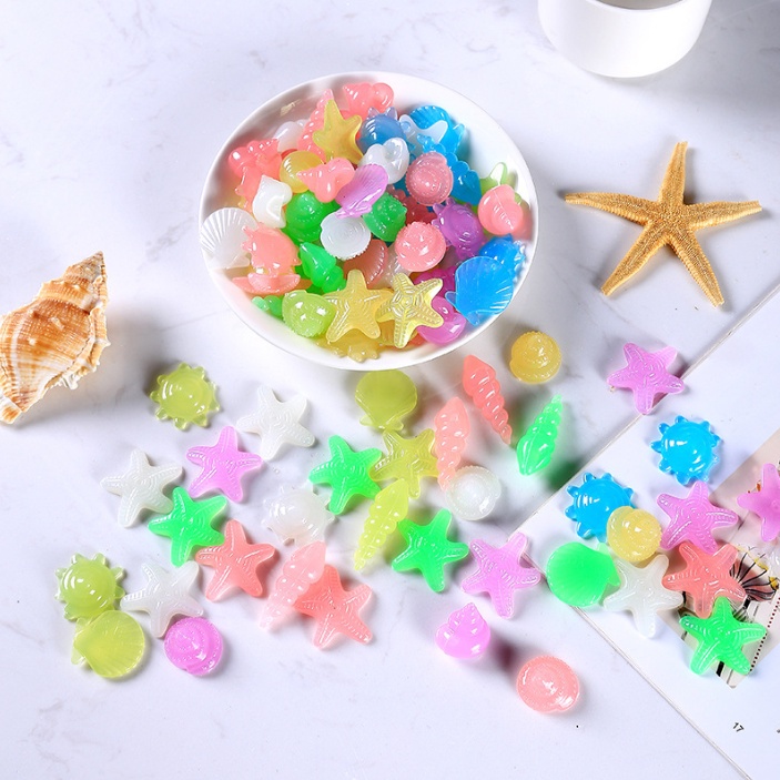 Sò ốc dạ quang trang trí nhiều màu khác nhau