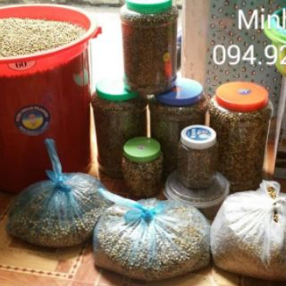 Vòng dâu tằm chuẩn gỗ dâu ( hàng đặt )