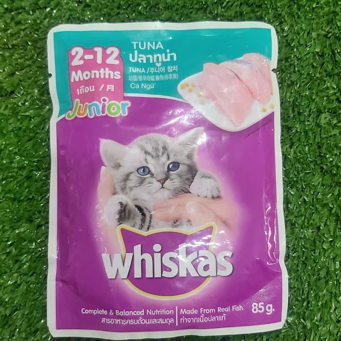 Combo 12 gói Pate whiskas cho mèo con vị cá ngừ - Lida Pet Shop