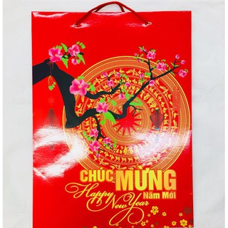 10 Túi giấy Chúc Mừng Năm Mới (túi đựng quà tết)