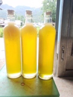 Mật ong rừng