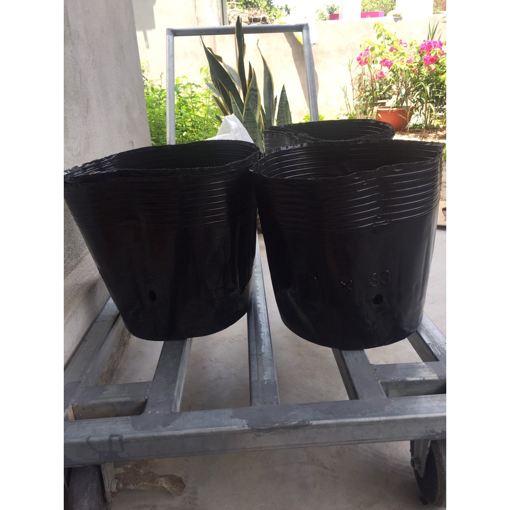 BẦU ƯƠM CÂY 40*33 ( DỊCH TRUYỀN CHO CÂY, KÍCH RỄ , MẦM CÂY XANH LÁ, LƯỚI CHE NẮNG...)