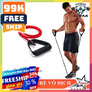 FREESHIP 🎁 Dây kéo đàn hồi 8 - 12 LB  ❤️  Dây ngũ sắc tập gym