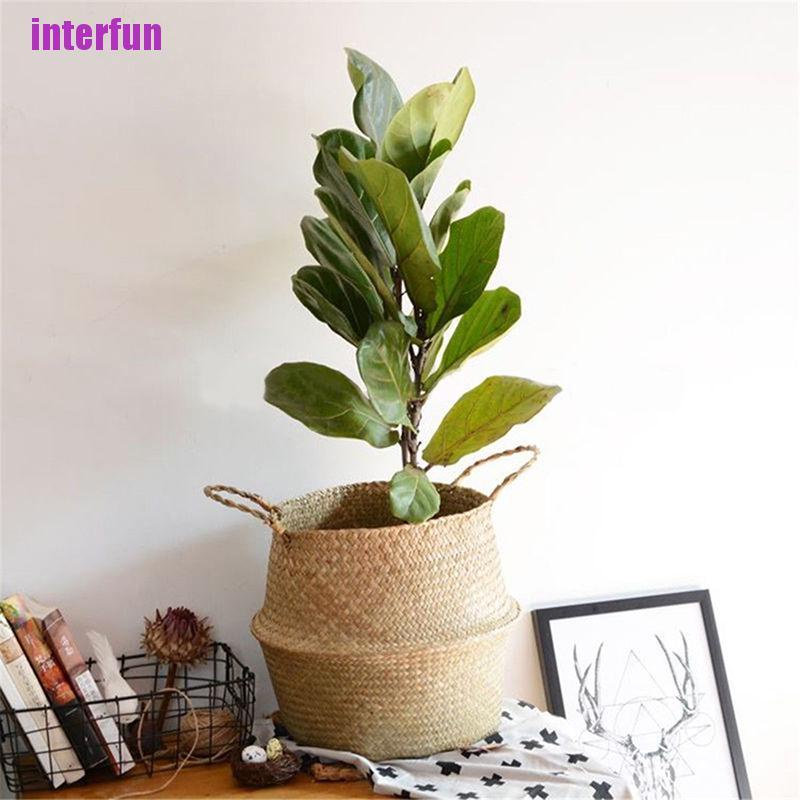 Chậu Hoa / Dụng Cụ Ăn Uống Có Thể Gập Lại Cho