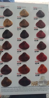 Thuốc Nhuộm Tóc Color Gams ( A1—> A32)