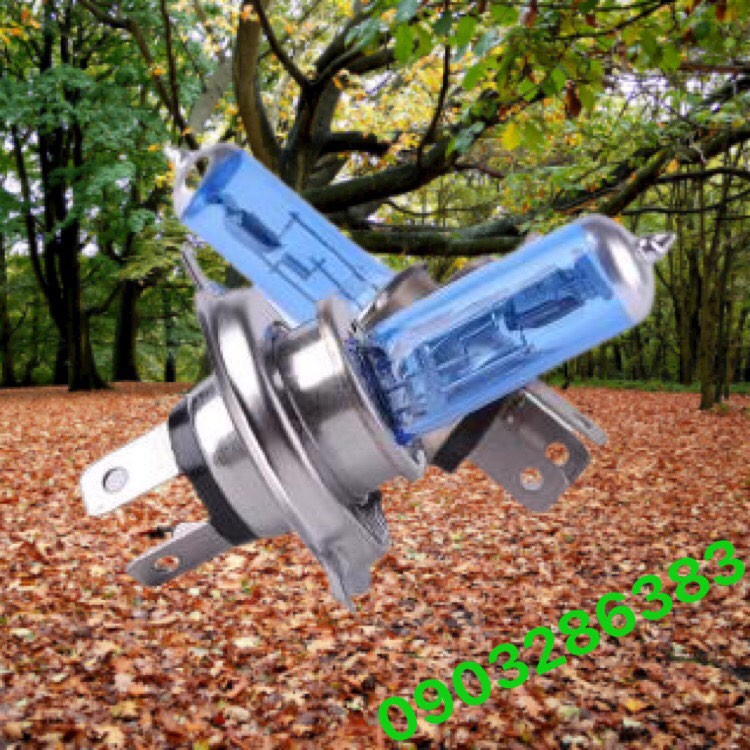 Bóng đèn HALOGEN pha cos 100W12V tăng sáng (02 cái)