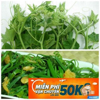 10g Hạt giống Bí Siêu Đọt Và Bông (tặng gói kích nẩy mầm và hướng dẫn)