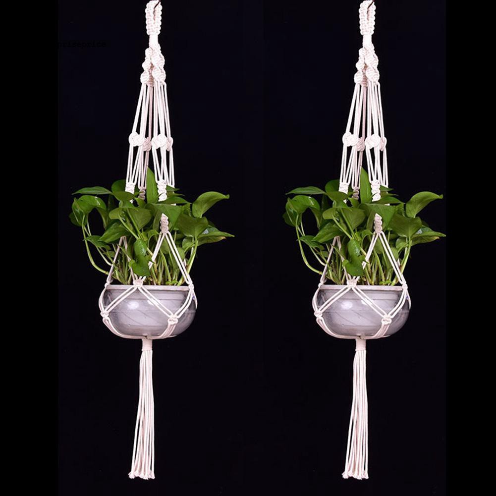 Dây treo chậu hoa thắt nút độc đáo cho trang trí nhà cửa