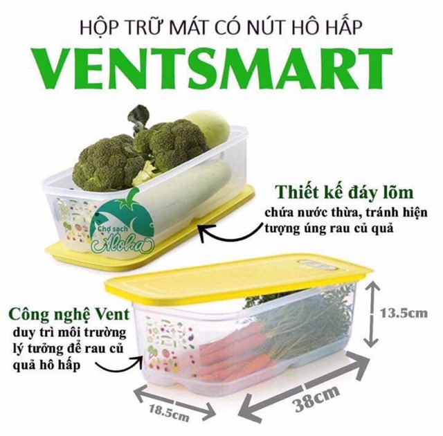 Tupperware Bộ hộp trữ mát có nút hô hấp Ventsmart 5 hộp - Vensmart 5