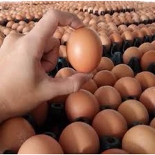 Trứng gà tươi vỉ 10 quả (giao hàng từ 6h sáng đến 12h trưa)