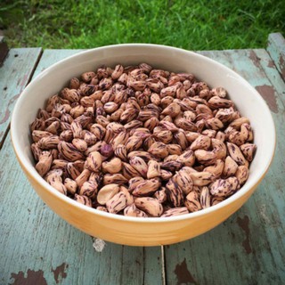 [Big Sale] Hạt giống lạc đầy màu sắc luner - 10gram