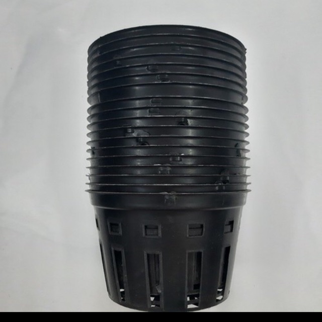 10 chậu nhựa trồng Lan phi 12